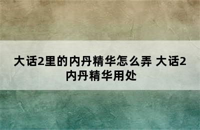 大话2里的内丹精华怎么弄 大话2内丹精华用处